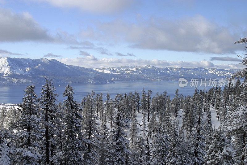 高山湖泊，树木和山脉在冬天。