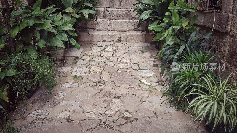 石灰石人行道，楼梯，盆栽植物景观，杜布罗夫尼克老城