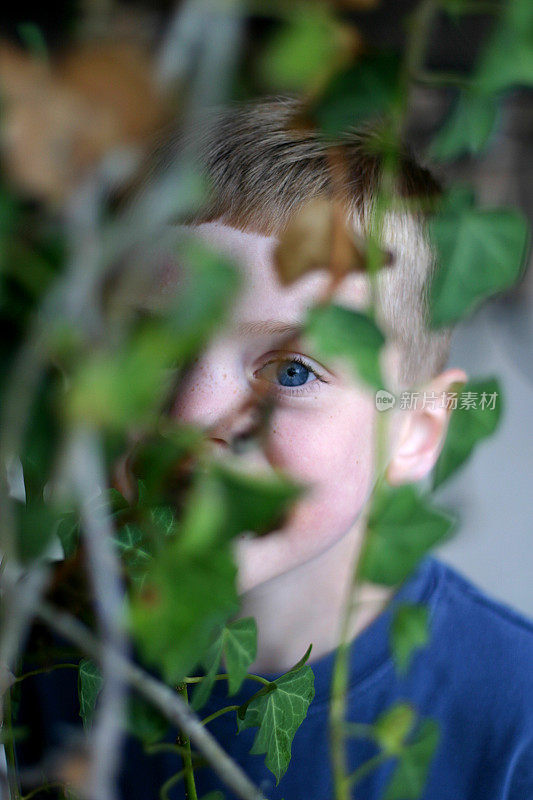 葡萄树隐藏的男孩