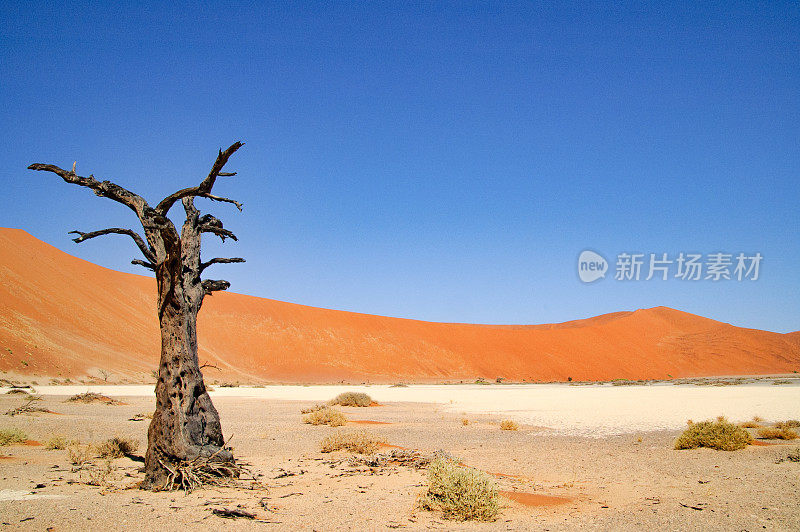 纳米比亚纳米布沙漠的隐谷