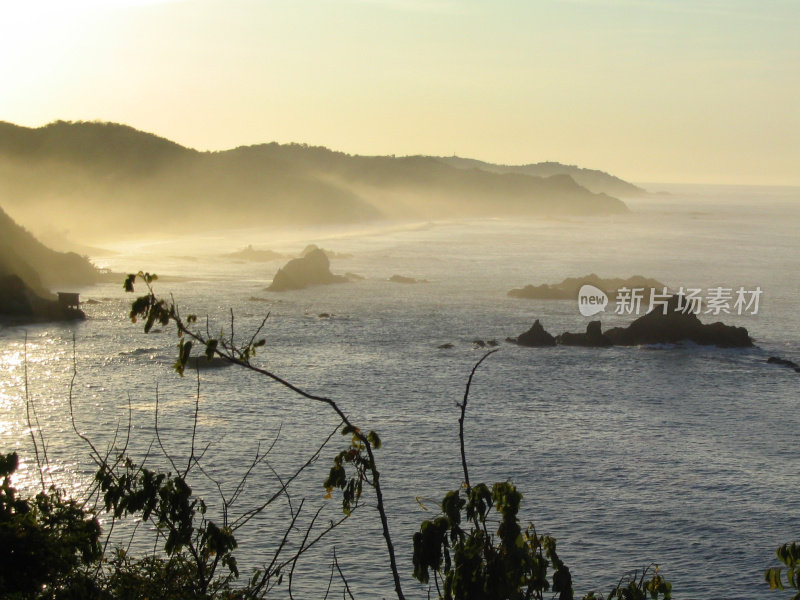 雾海