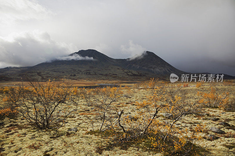 美丽的山景与桦树在秋天。