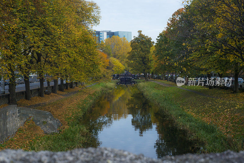 秋天的都柏林大运河