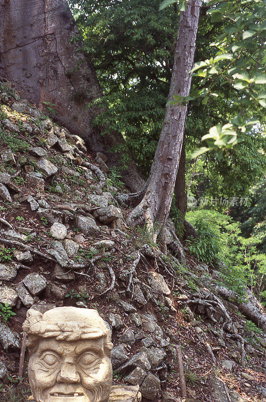 玛雅人雕刻的石头头下的考古丘覆盖着古老的树木科潘遗址洪都拉斯中美洲