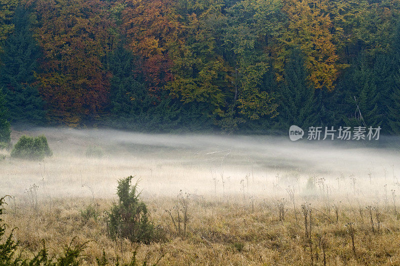 秋天的阴霾