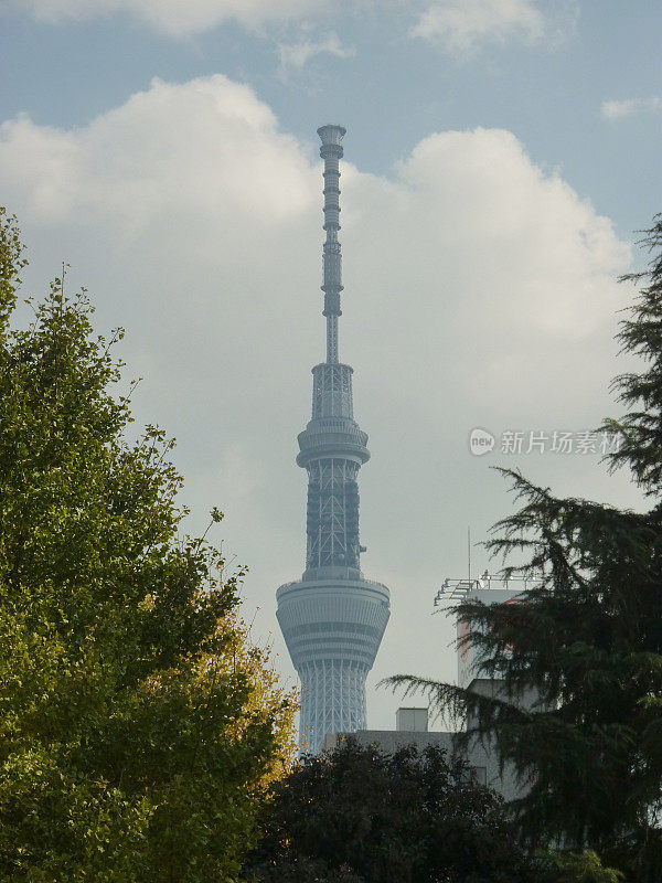 东京天空树，日本