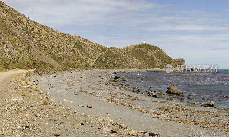 东港区域公园湾全景，惠灵顿，新西兰