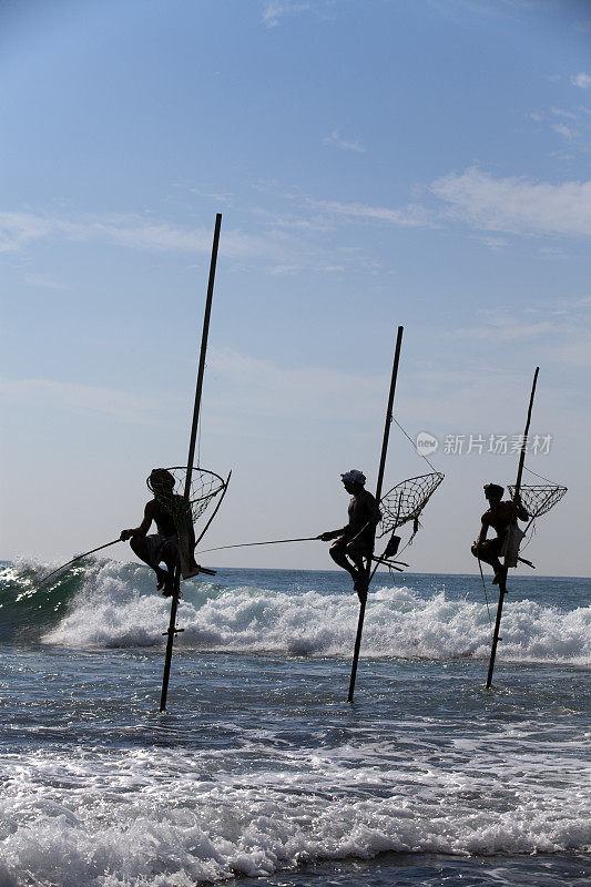 斯里兰卡的高跷钓鱼