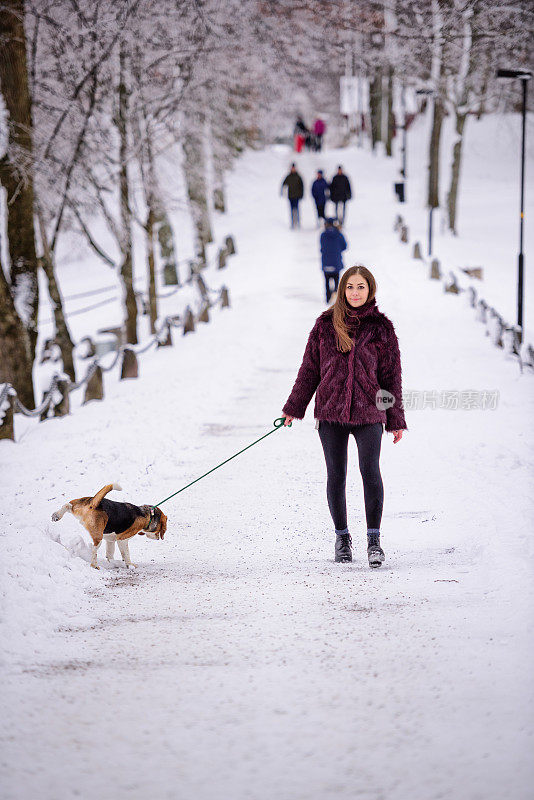 一个女人在冬天的街上遛狗