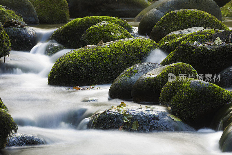 高山流水