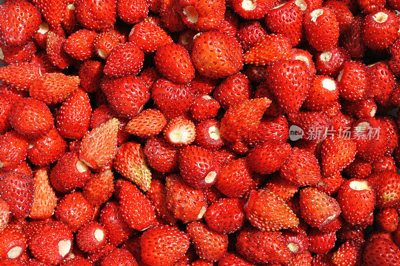 新鲜的野草莓