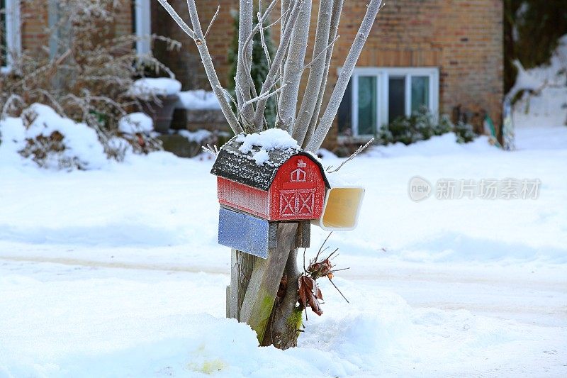 邮箱在雪