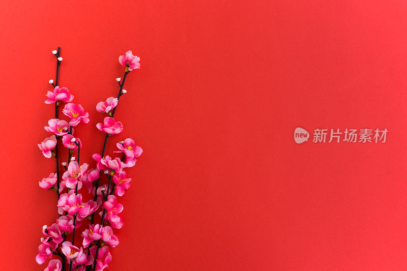 中国新年背景，梅花红背景。