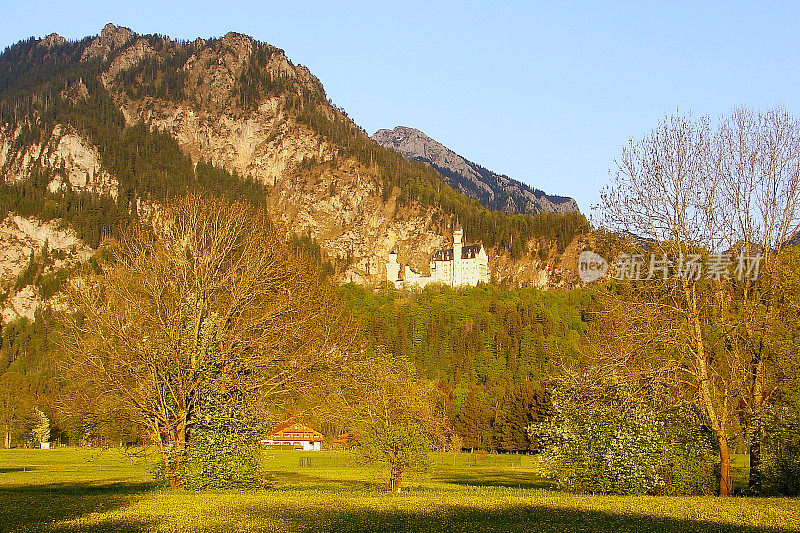 德国巴伐利亚富森的田园风光和野花在巴伐利亚阿尔卑斯山，卡温德尔山脉在金色的春天