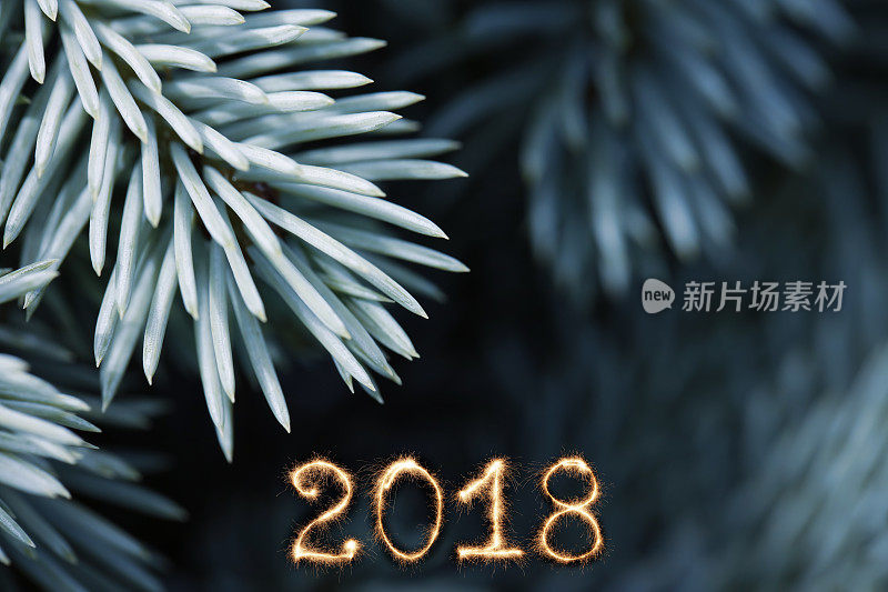 2018年新年快乐!!