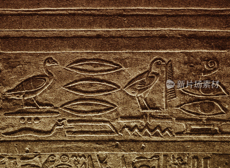 埃及Edfu的神庙中的象形文字