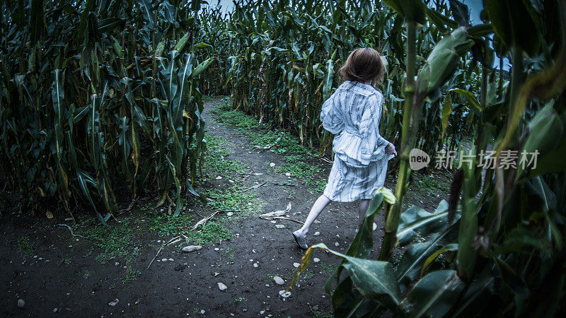 一个十几岁的女孩在万圣节玉米迷宫里迷路了