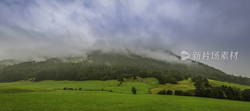 带绿色草甸的高山景观(HDRi)