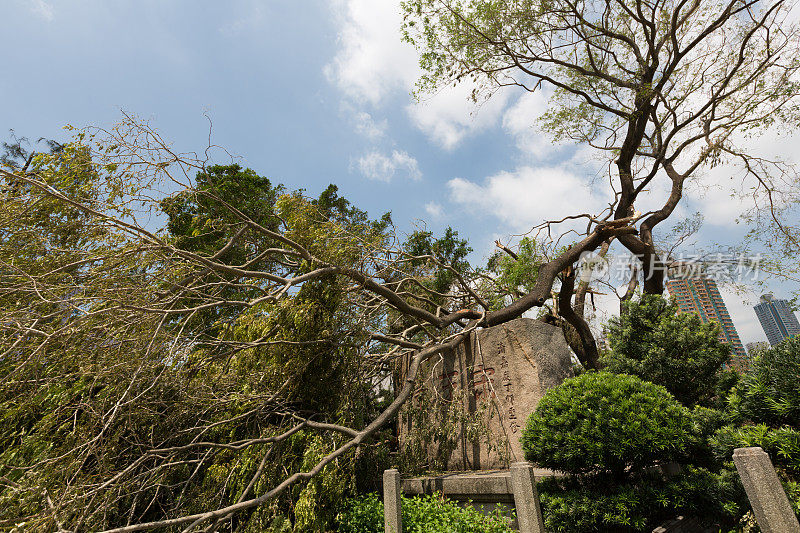 超级台风“山竹”抵达香港