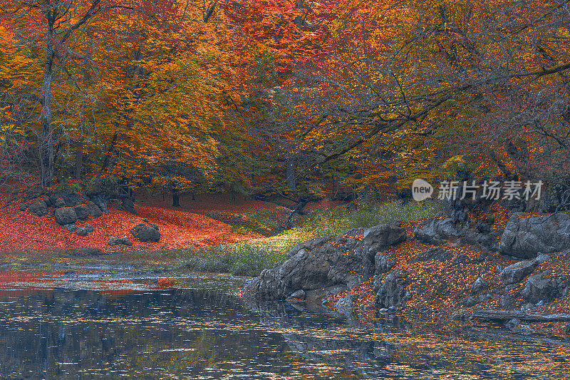 来自Yedigoller的秋天场景，土耳其