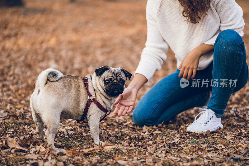 一个女人在公园里和哈巴狗玩耍