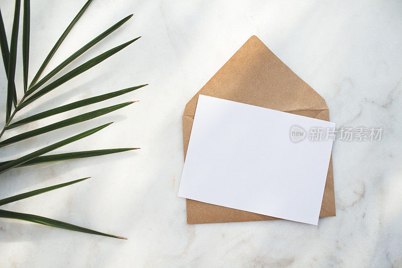 信封，白纸，白色背景上的一片棕榈叶。
