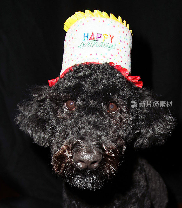 露露伍德尔庆祝她的生日