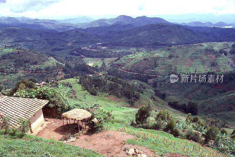 非洲卢旺达中部的农村宅基地