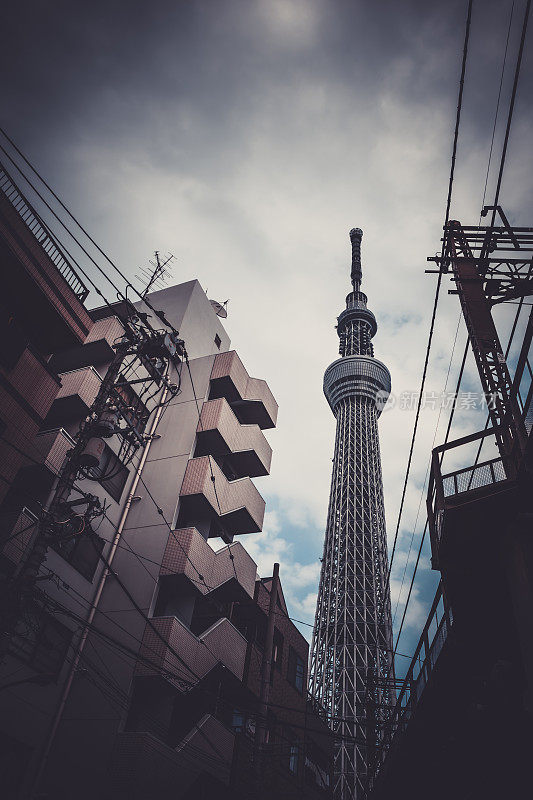 东京天空树在东京市，日本