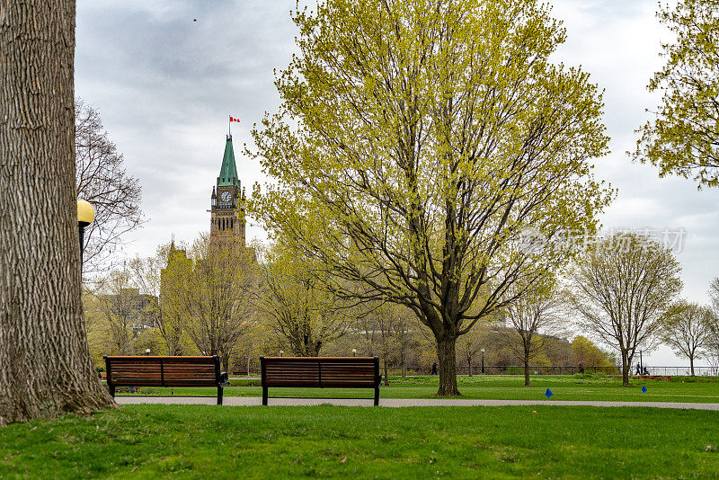 加拿大郁金香节在加拿大渥太华国会山附近的梅杰山公园举行