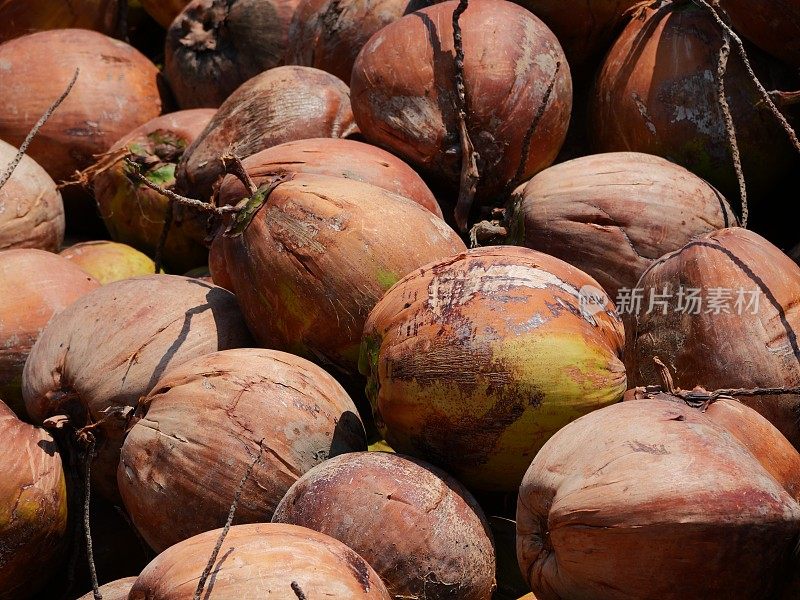 椰子多堆健康植物异国风味的亚洲饮料