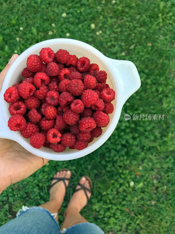 一个女人端着一碗从我的乡村花园摘来的新鲜多汁的覆盆子