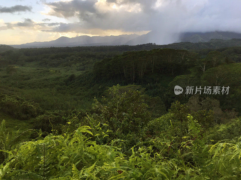 夏威夷考艾岛，郁郁葱葱的Makaleha山