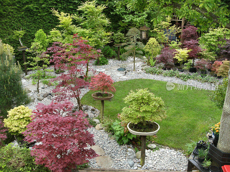 带有日本元素的花园踏脚石路径图像，花岗岩宝塔和灯笼，竹子，鹅卵石，盆景和日本枫树(槭树)