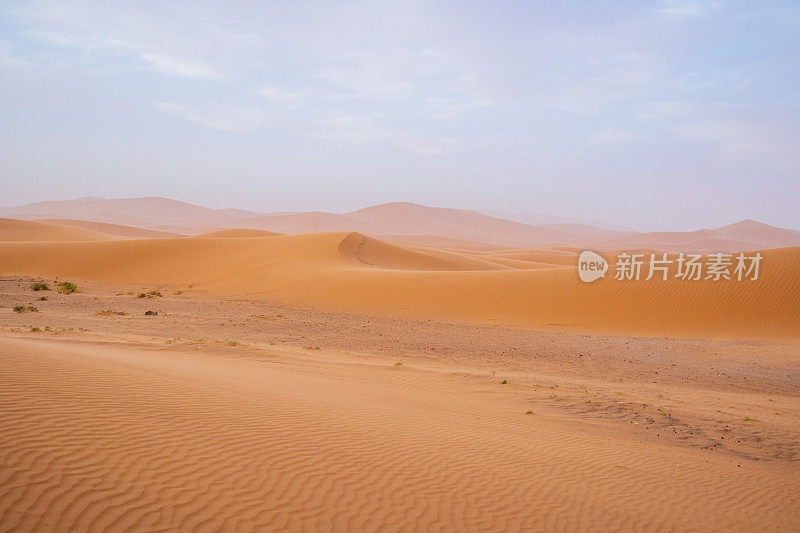 摩洛哥Merzouga沙漠的橙色沙丘和多云的天空。