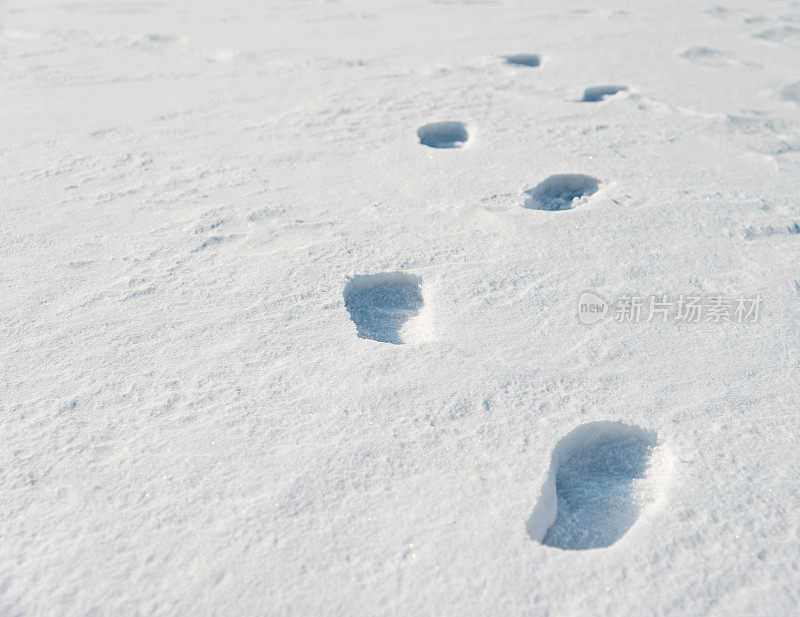 雪地里的脚印