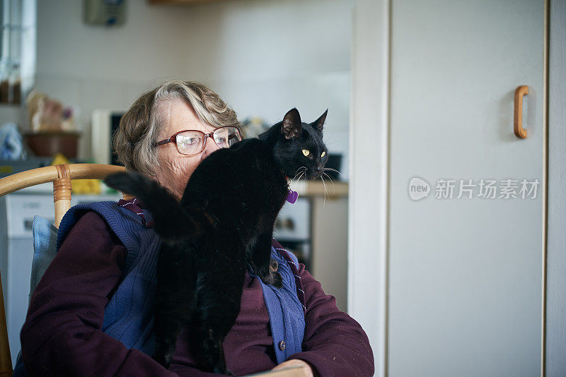 轻松老女人与宠物黑猫