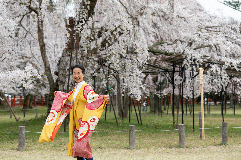 一个日本女人在欣赏樱花