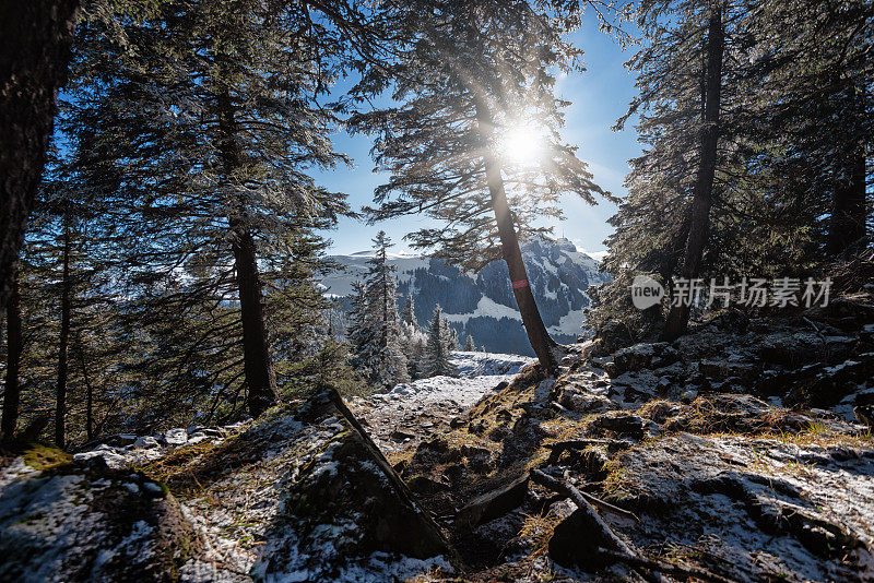 在阿彭策尔附近的森林徒步旅行，背景是霍赫卡斯滕山