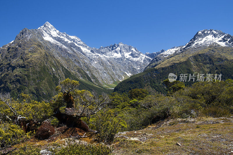 峡湾国家公园基峰的风景