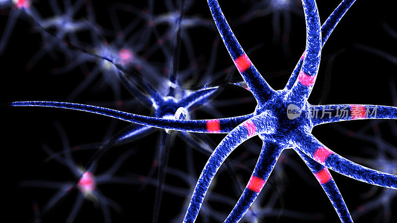 神经元在黑色背景上的3D渲染。神经细胞发出红光。背景模糊，焦点在前面。
