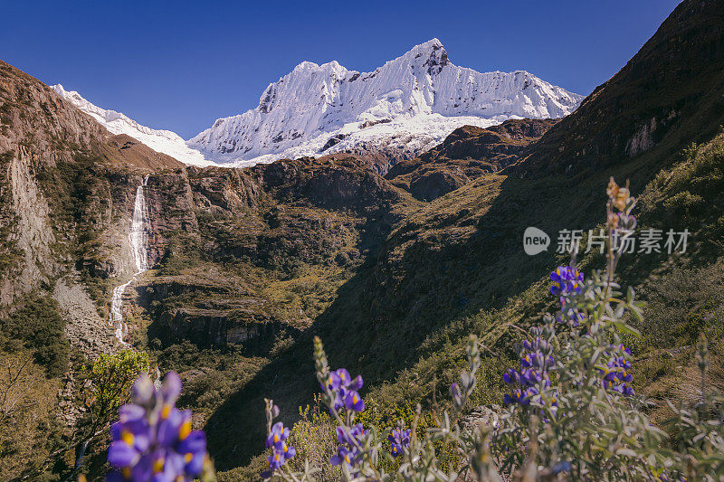 布兰卡山脉:秘鲁瓦拉兹附近的安第斯山脉，有瀑布和野花