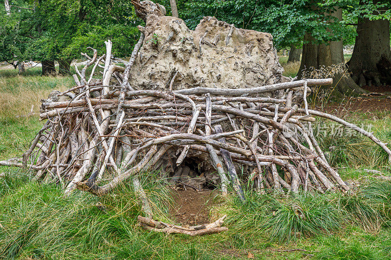 孩子们用树枝搭建的小屋或棚屋