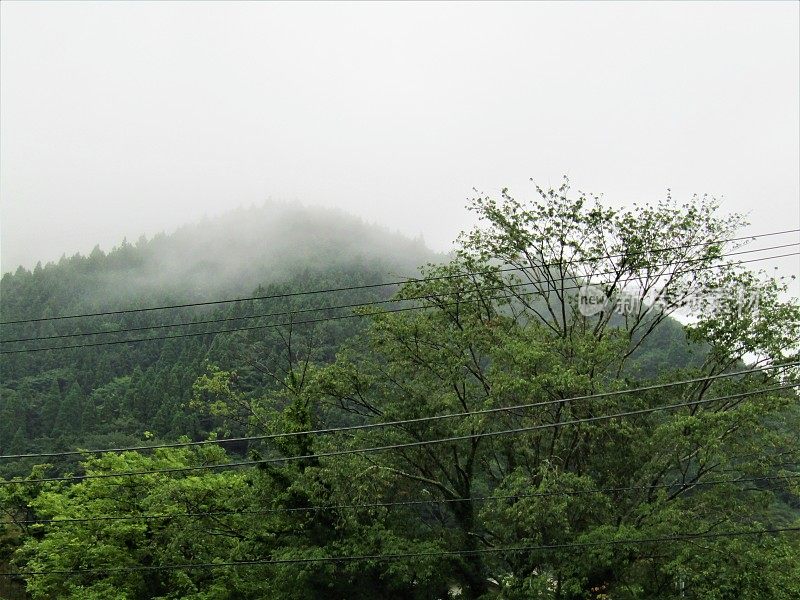 日本。7月。多雨的季节。