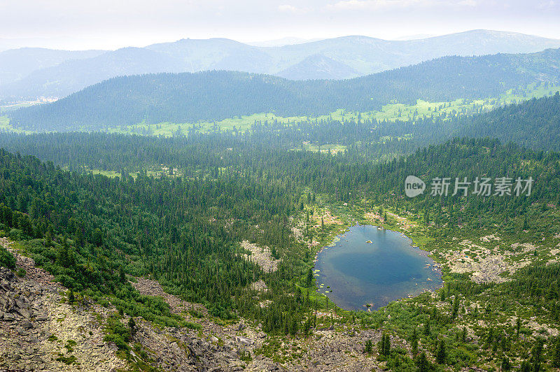 针叶林。西伯利亚。天山景湖上。