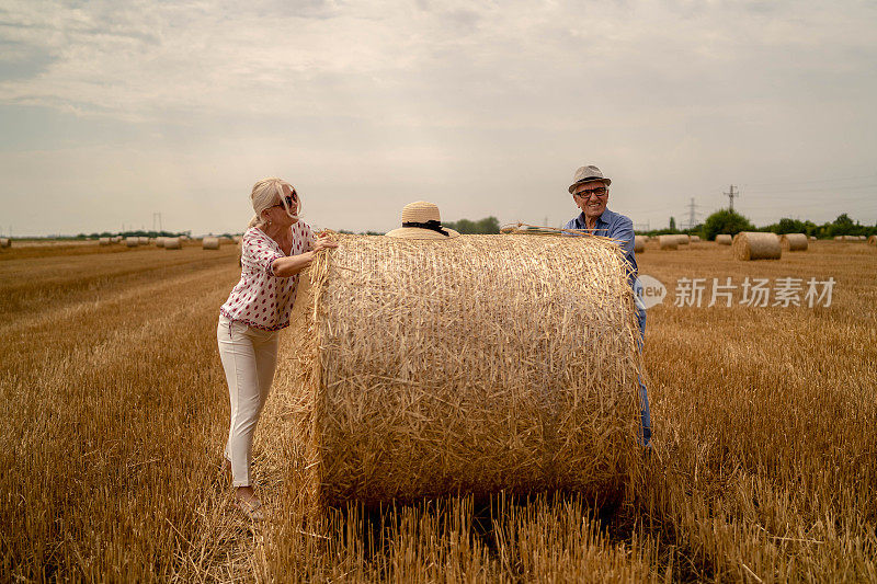 一对夫妇正在干草堆上玩