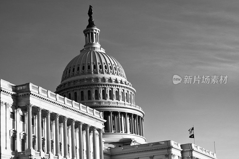 华盛顿政治-联邦政府