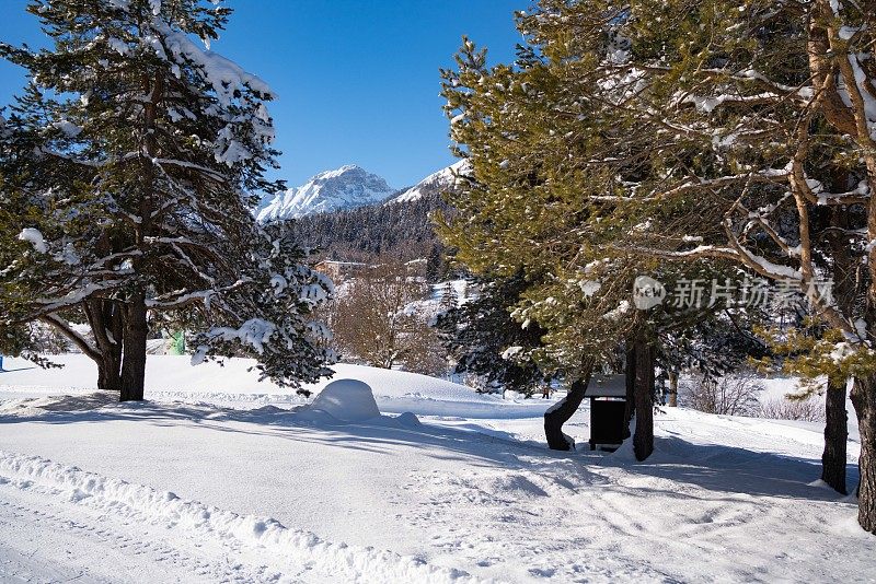 越野滑雪