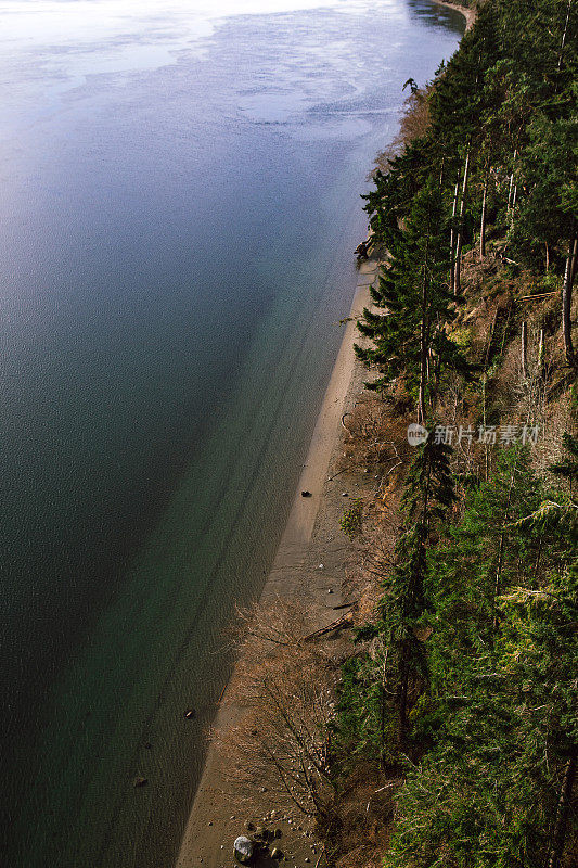 普吉特海湾海岸线