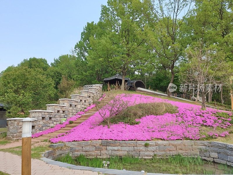 贡珠哈诺克村风景